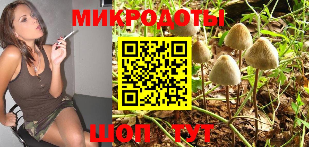 Псилоцибиновые грибы MAGIC MUSHROOMS Владимир